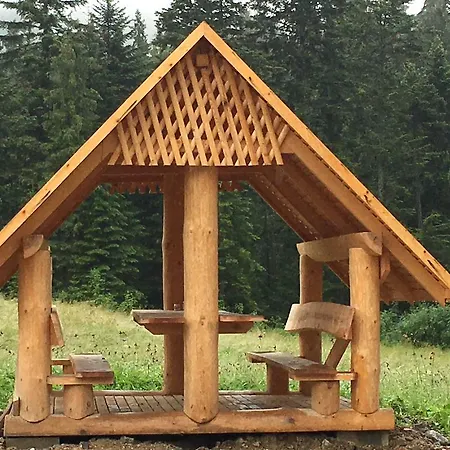 Siwa Skala * Kościelisko